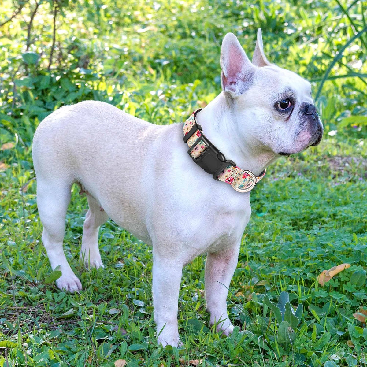 Ladoogo Reflective Dog Collar Padded with Soft Neoprene - Beige/Pink Floral / Medium - image 4