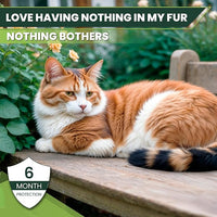 Flea and Tick Prevention for Cats: Flea & Tick Topical for Cats Over 1.5lbs, 6 Dose Flea and Tick Control/Prevention for 6 Months (6 Pack)