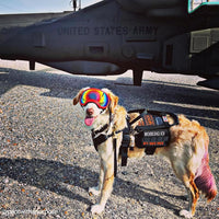 OneTigris Service Dog Vest Harness - Large / Black - image 2
