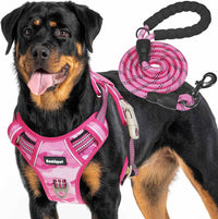 Beebiepet Tactical No Pull Dog Harness with Leash - Pink Camo / Large