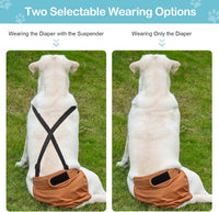 Avont 3 Pack Washable Female Dog Diaper with Suspender - Brown/Black/Grey / L - image 2