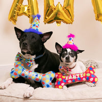 Huxley & Kent Party Crown Hat for Dogs & Cats - Large / Blue Party Time - image 2