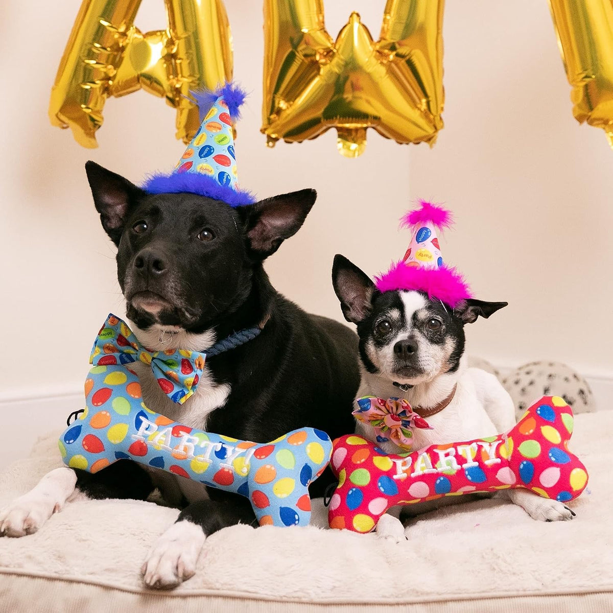 Huxley & Kent Party Crown Hat for Dogs & Cats - Large / Blue Party Time - image 2