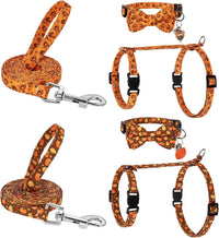 2 Pack Cat Harness and Leash with Collar Set - Orange