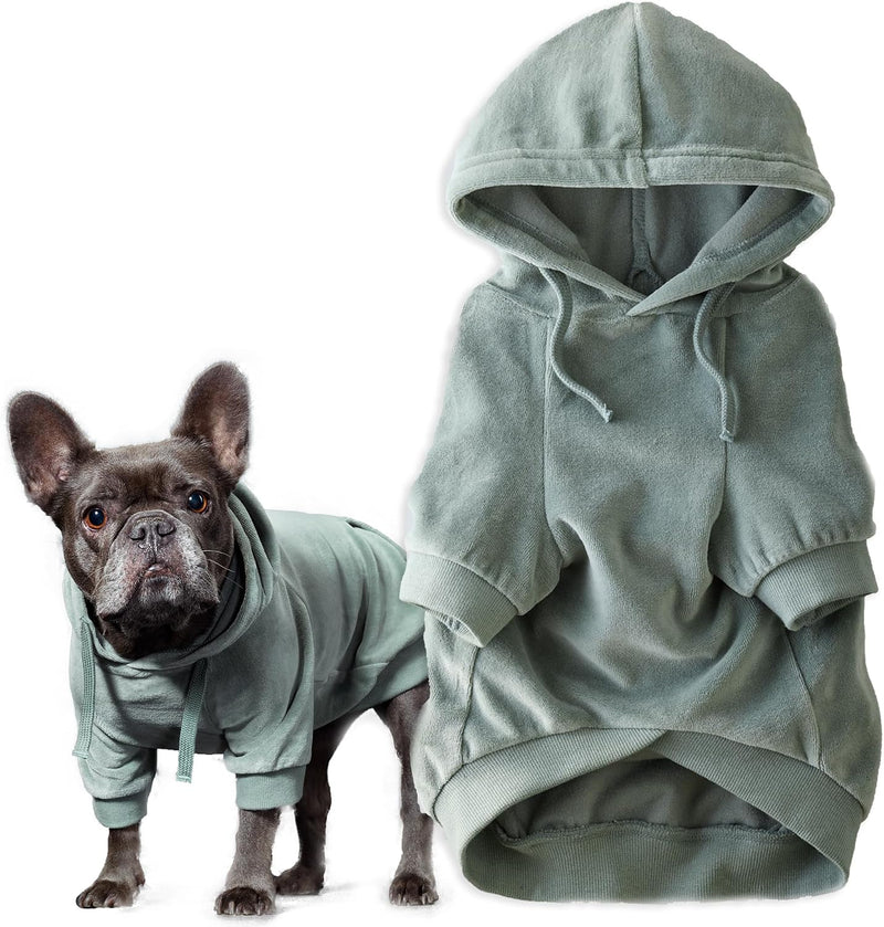 Pet Passion Cooper II Dog Hoodie - Sage / X-Large (55-80 lbs)