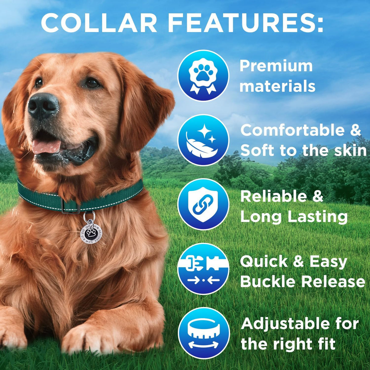 Reflective Neoprene Padded Dog Collar with Quick Release Buckle – Essentials for Dogs - Dark Emerald Green / XX-Small - image 3