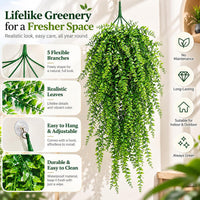 Reptile Vines Plants for Terrarium - image 4