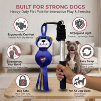Flirt Pole for Dogs Heavy Duty 35 Inch Teaser Wand with Duck Toy – Essentials for Dogs - Raccoon / 35" Pole - image 4
