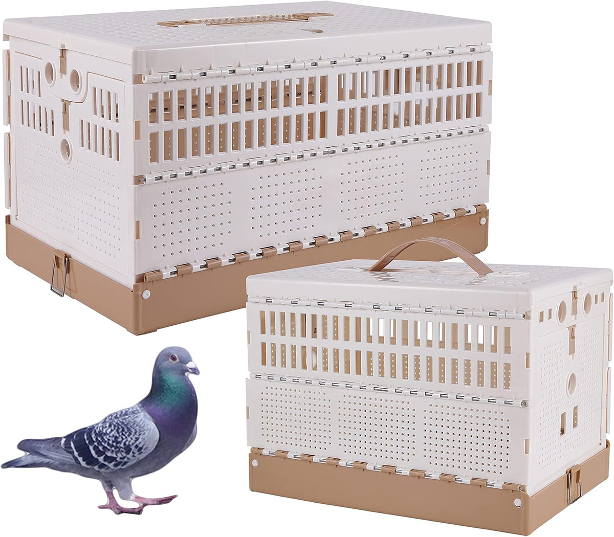 Plastic Foldable Pigeon Cage with Handle, S, Two Doors – Essentials for Birds - 12.6"L x 7.9"W x 8.7"H