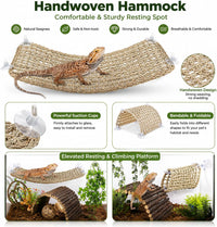 HERCOCCI Bearded Dragon Tank Accessories - Medium - image 3