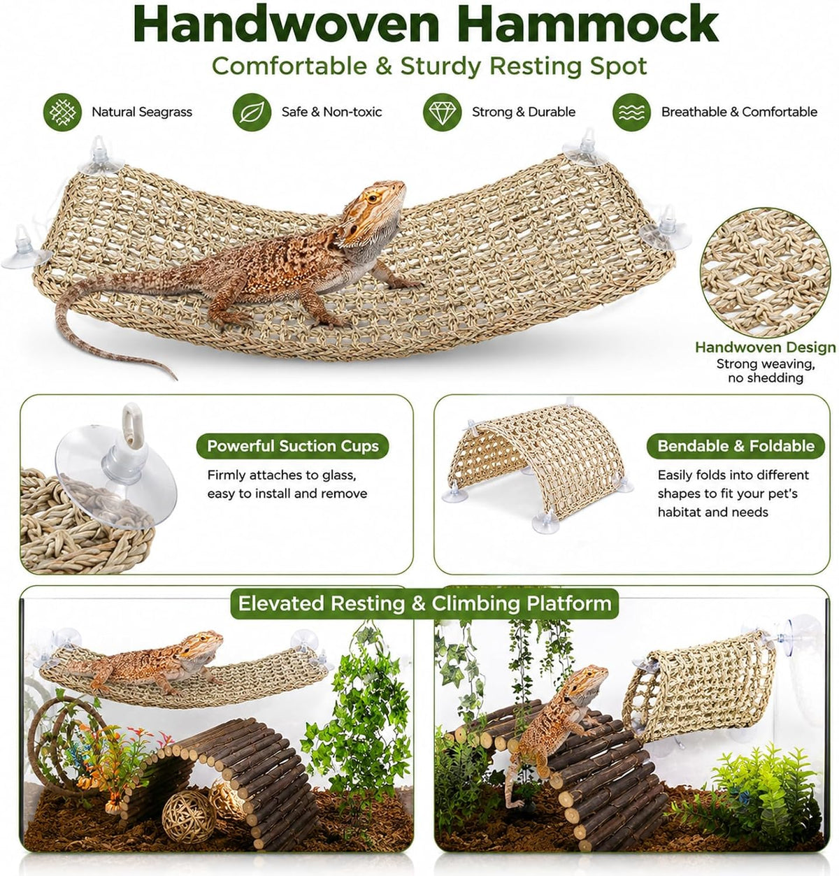 HERCOCCI Bearded Dragon Tank Accessories - Medium - image 3