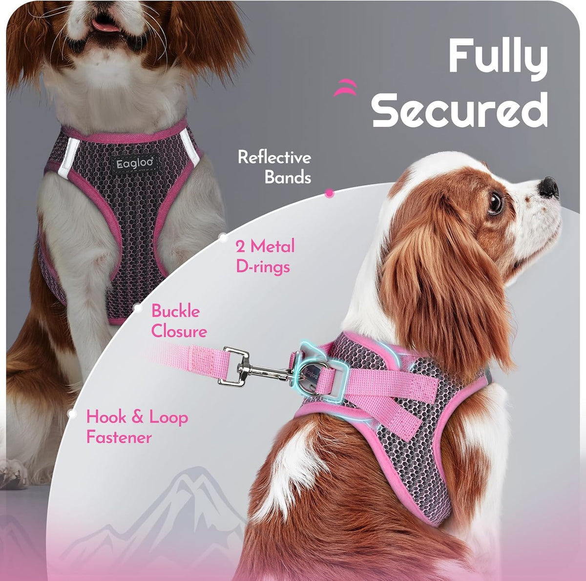 Eagloo Small Dog Harness and Leash Set - L(Chest:18.2"-20.5") / Pink - image 4