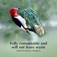 C&S High Energy Delight No Melt Suet Dough, Suet Cakes for Wild Birds, 11 Ounces, Pack of 8