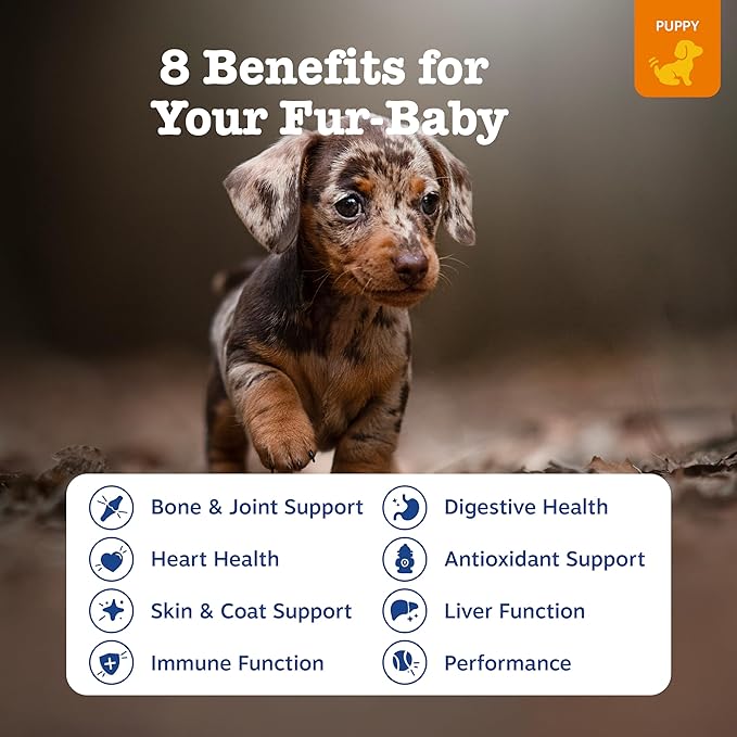 Zesty Paws Dog Multivitamin, Chewable Dog Vitamins and Supplements for Hip & Joints, Skin & Coat, Omega 3 Fish Oil for Dogs- Puppy Multivitamin - Chicken Puppy Bites- 90ct