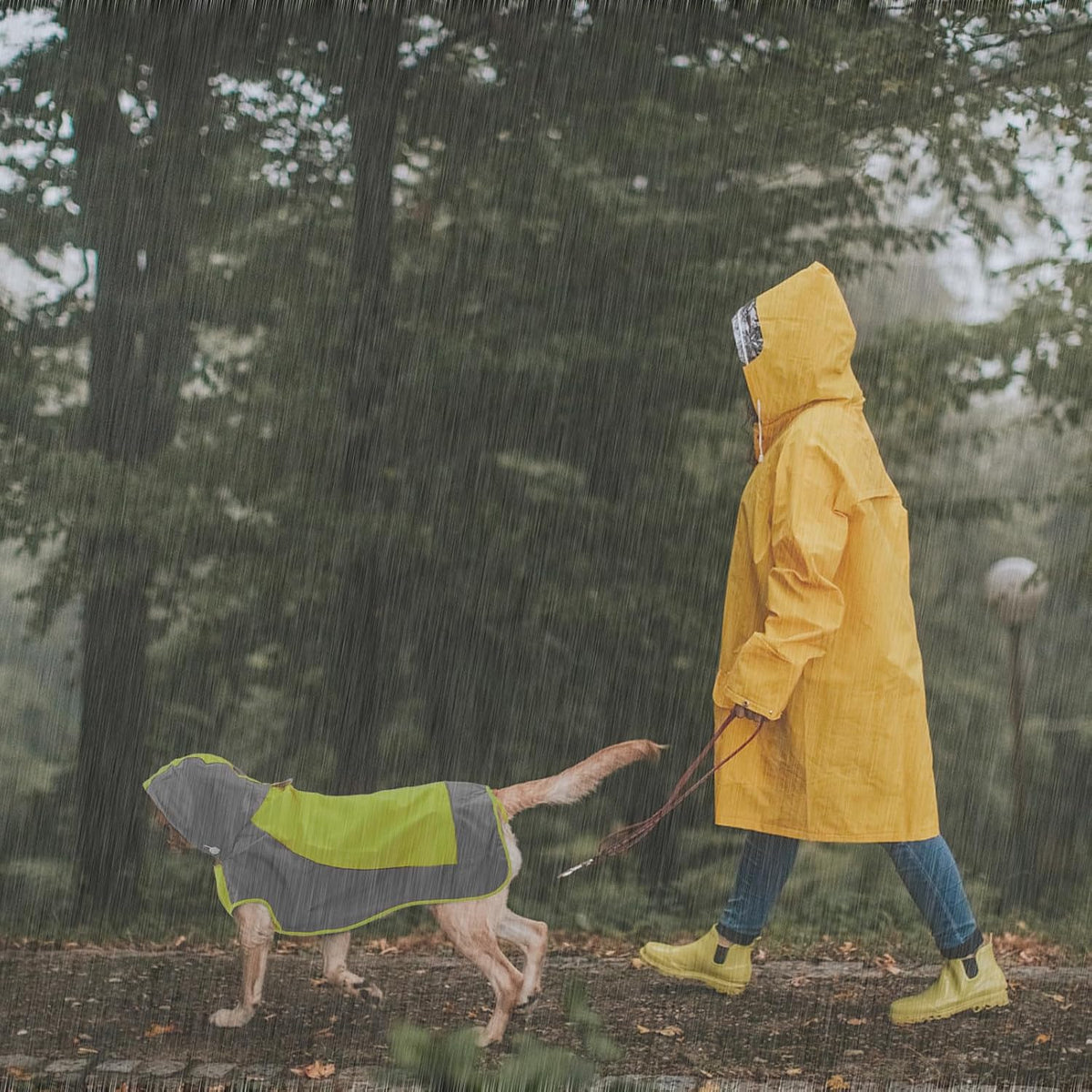 Hooded Dog Raincoat, Reflective Large Dog Rain Poncho - 2X-Large / Green - image 4