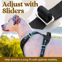 rabbitgoo Dog Harness for Large, No Pull 3 Buckles Easy On & Off – Essentials for Dogs - Black / X-Large - image 2