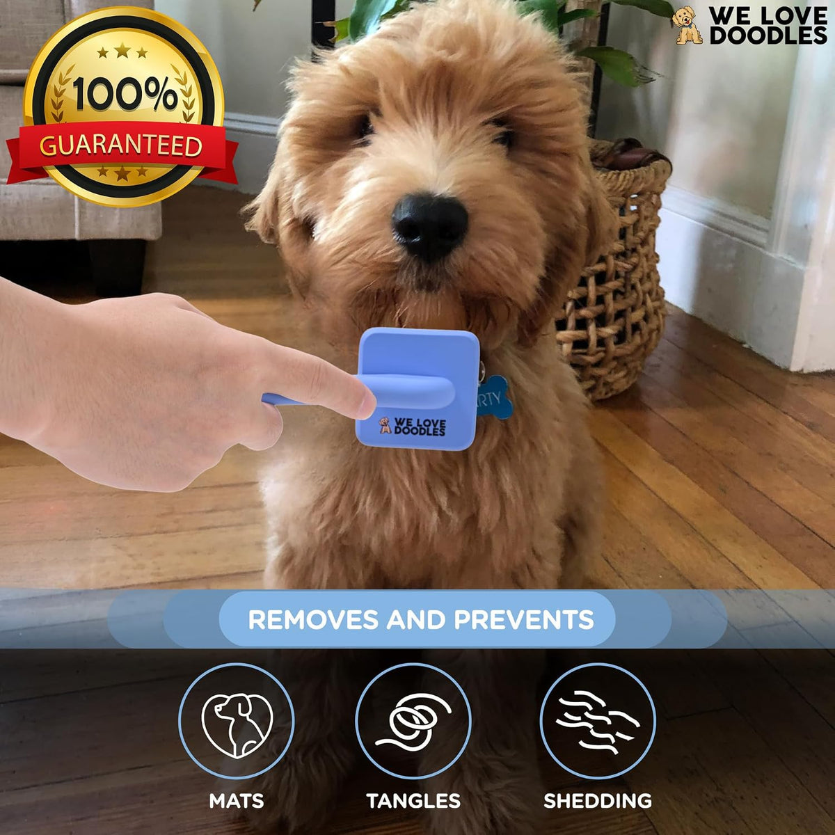 Slicker Brush for Dogs, Pet Grooming Brushes for Doodles & Poodles, Large – Essentials for Dogs - Extra Small Slicker Brush - image 3