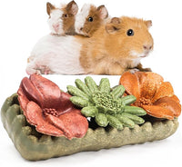 TEEWY 4PCS Guinea Pig Chew Toys, Prevent Teeth Overgrowth, Natural Vegetables and Timothy Grass, Hamster Chew Toys, Guinea Pig Toys, Chinchilla Toys, Grass Patch & Flowers