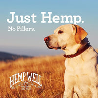 Hemp Well Thrive Oil for Dogs and Cats – Supports Hip, Joint, and Heart Health, Promotes Immune System, and Promotes Healthy Skin from Seasonal Allergies, Organically Sourced - 16 Ounces