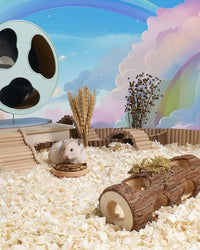 Niteangel Small Animal Snack & Treats - Small Critter Natural Treat for Dwarf Syrian Hamsters Gerbils Mice Sugar Glider Hedgehogs Chickens Birds (Freeze-Dried Grasshopper)