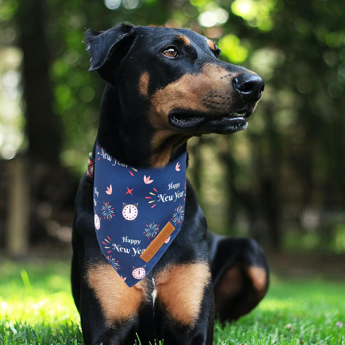 Halloween Dog Bandanas 2 Pack - Happy New Year / Small - image 3