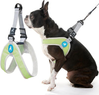 Gooby Simple Step-in III Dog Harness - Small chest (14.25∼17") / Green