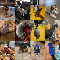 Soft Dog Hoodies for Small Dogs - Grey / Small - image 4