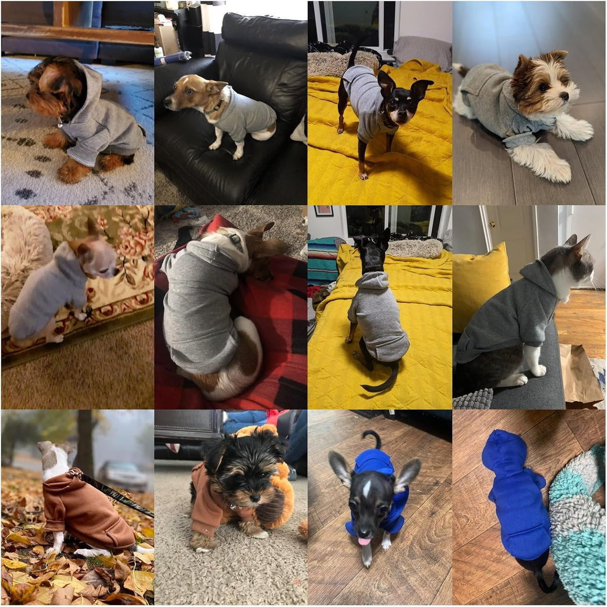 Soft Dog Hoodies for Small Dogs - Grey / Small - image 4