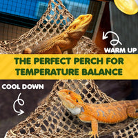 SunGrow Leopard Gecko, Hermit Crab, Reptile Hammock, Handwoven - 2 Piece (11 x 7.8 in) - image 4