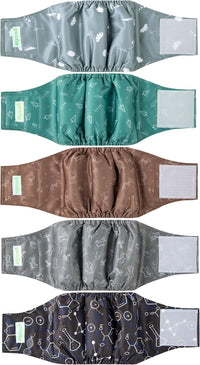 wegreeco Small Dog Diapers Male - Dinosaurs / Medium / 5