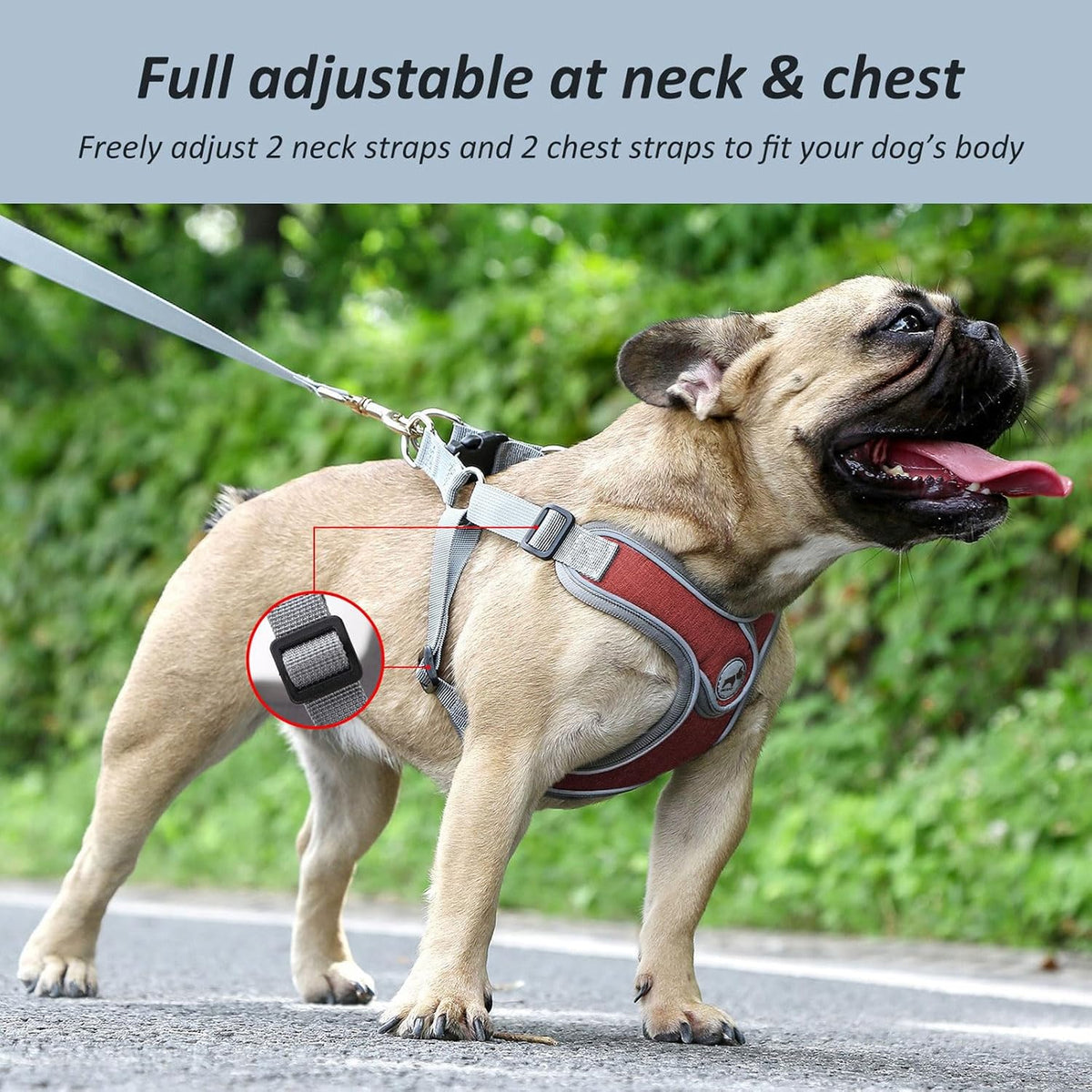 Dog Harness with Leash Set, No Pull Adjustable Step in Pet Vest – Essentials for Dogs - Red / L - image 4