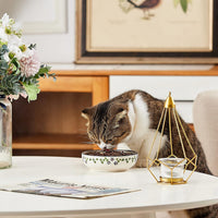 Ceramic Cat Bowls, Howise Pet Bowl Cat Dishes for Food and Water - Floral Blue - image 3