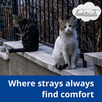 Outdoor Cat Heating Pad, 15.7" x 11.8", 30W, Grey – Essentials for Cats - Gray / 19.7"L x 15.7"W - image 3