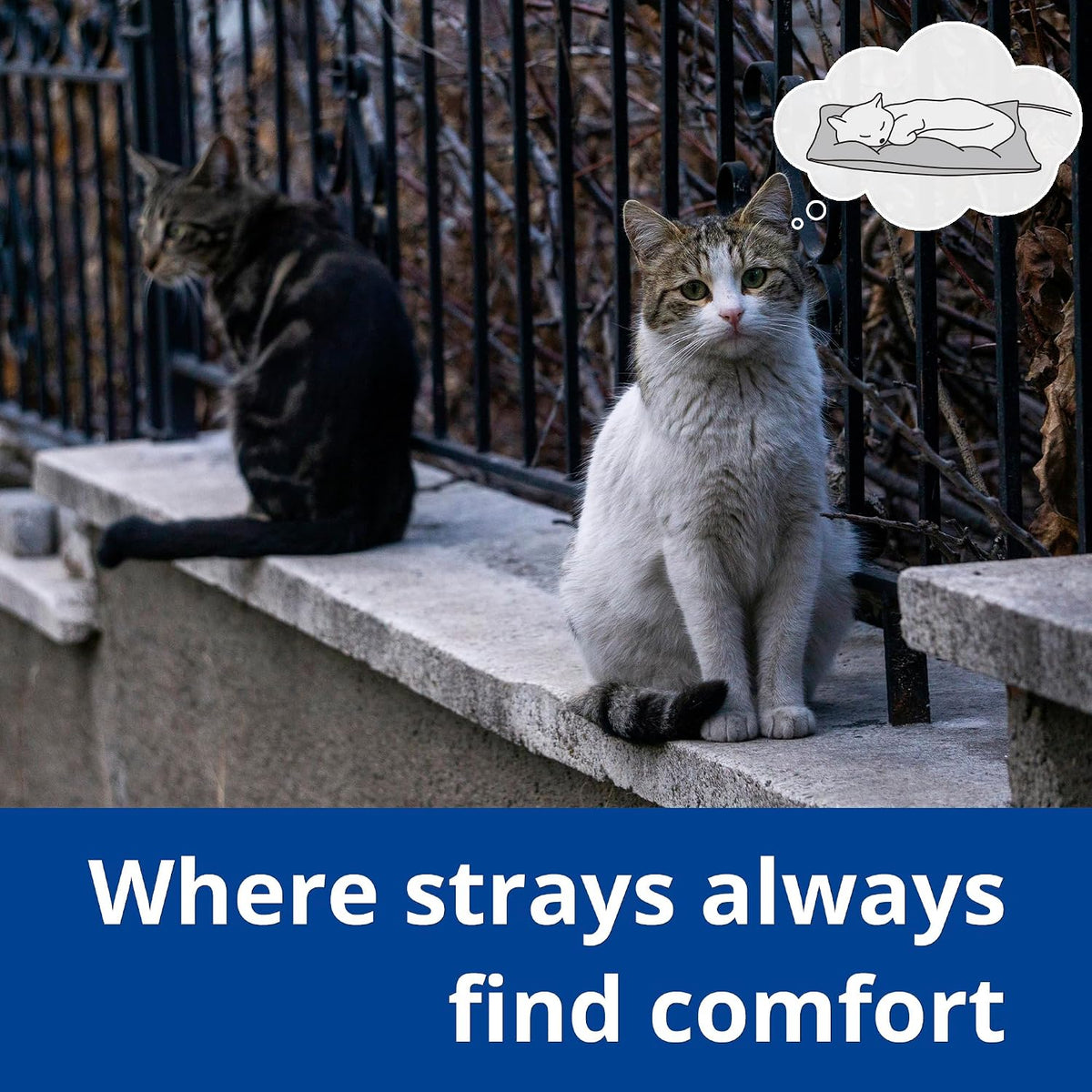 Outdoor Cat Heating Pad, 15.7" x 11.8", 30W, Grey – Essentials for Cats - Gray / 19.7"L x 15.7"W - image 3