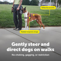 PetSafe Easy Walk Deluxe Dog Harness, No Pull Dog Harness - Large / Steel - image 4