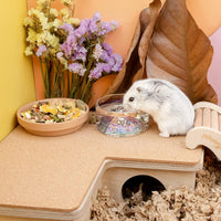 Niteangel Hamster Feeding & Water Bowl - Transparent - image 4