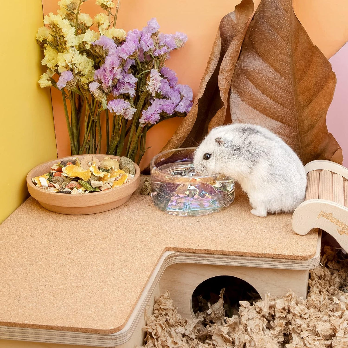 Niteangel Hamster Feeding & Water Bowl - Transparent - image 4