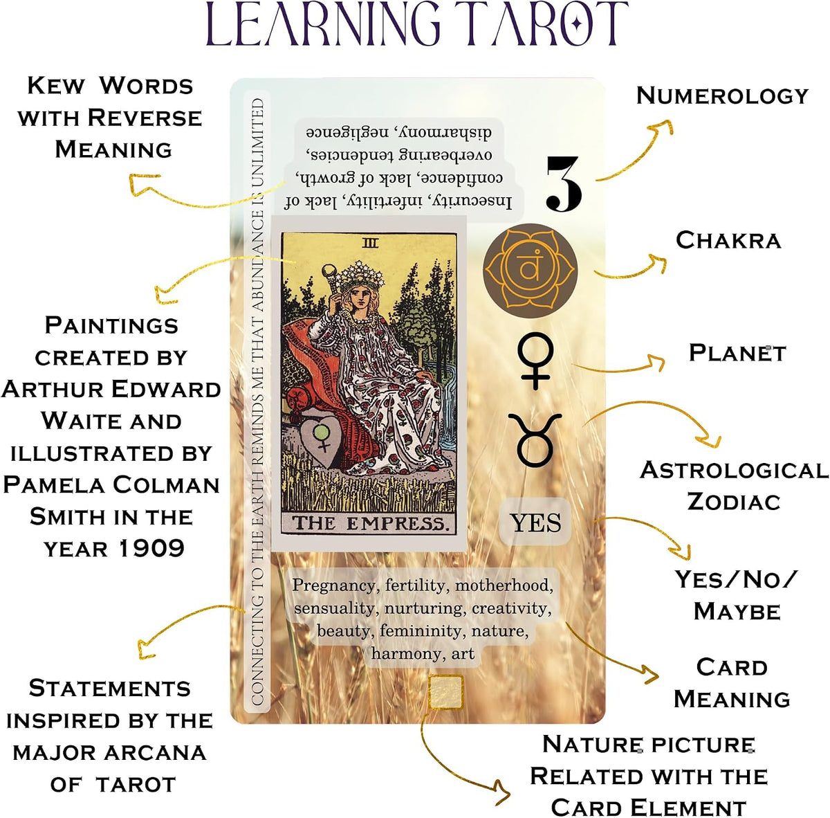 Witchy Cauldron Tarot Cards for Beginners with Meanings on Them - English - image 2