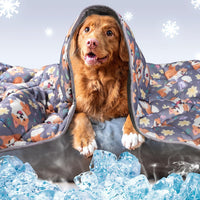 Leekalos Dog Cooling Mat, Summer Pet Cooling Pad for Cats & Dogs - Large(40"x55") / Puppy Corgi
