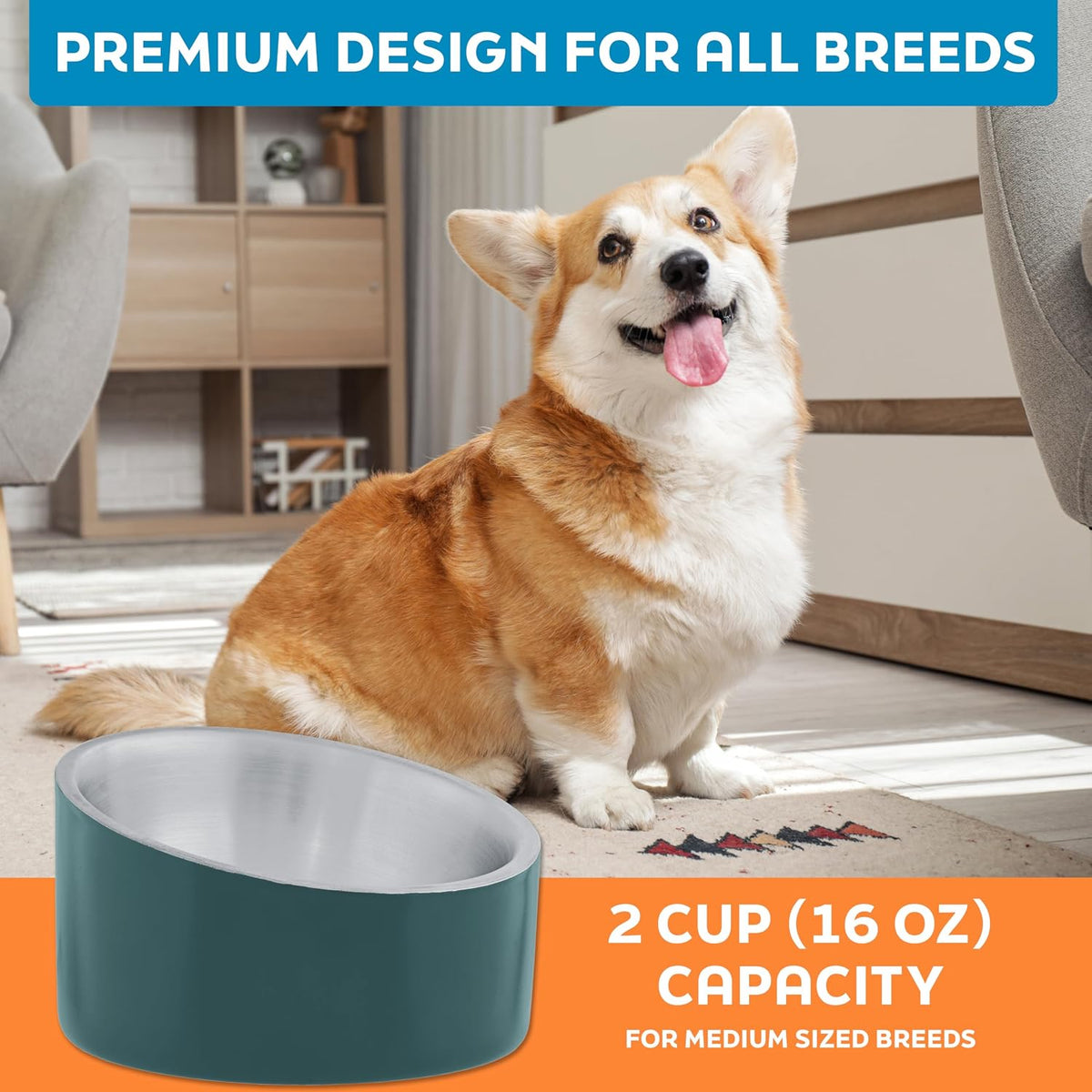 Master Pet Supply Stainless Steel Slanted Dog Cat Food Bowl 24 oz - Emerald Sea / 2 Cups (16 oz) - image 4