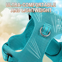Dog Harness Step in Dog Vest Harness, Reflective Adjustable Puppy No Pull Harness Breathable Soft for Small and Medium Dogs Cats, Ocean Blue, XXS