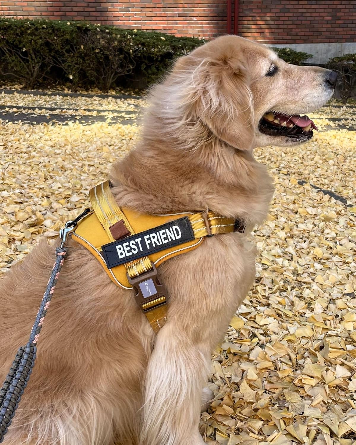 AUROTH Dog Harness for Large Dogs No Pull Tactical Harness and Leash - Turmeric / XL(Neck:24"-32.7",Chest:31.9"-43.7") - image 2