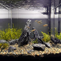 Natural Seiryu Dragon Stone - 11 Pound Aquarium Rock for Fish Tank Reptile and Amphibious Tank 3-8 Inch Aquarium Decoration