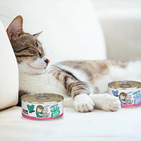 Weruva BFF Minced Natural Wet Cat Food, Tuna and Chicken 4 Eva in Gravy, 5.5oz Can, Pack of 24