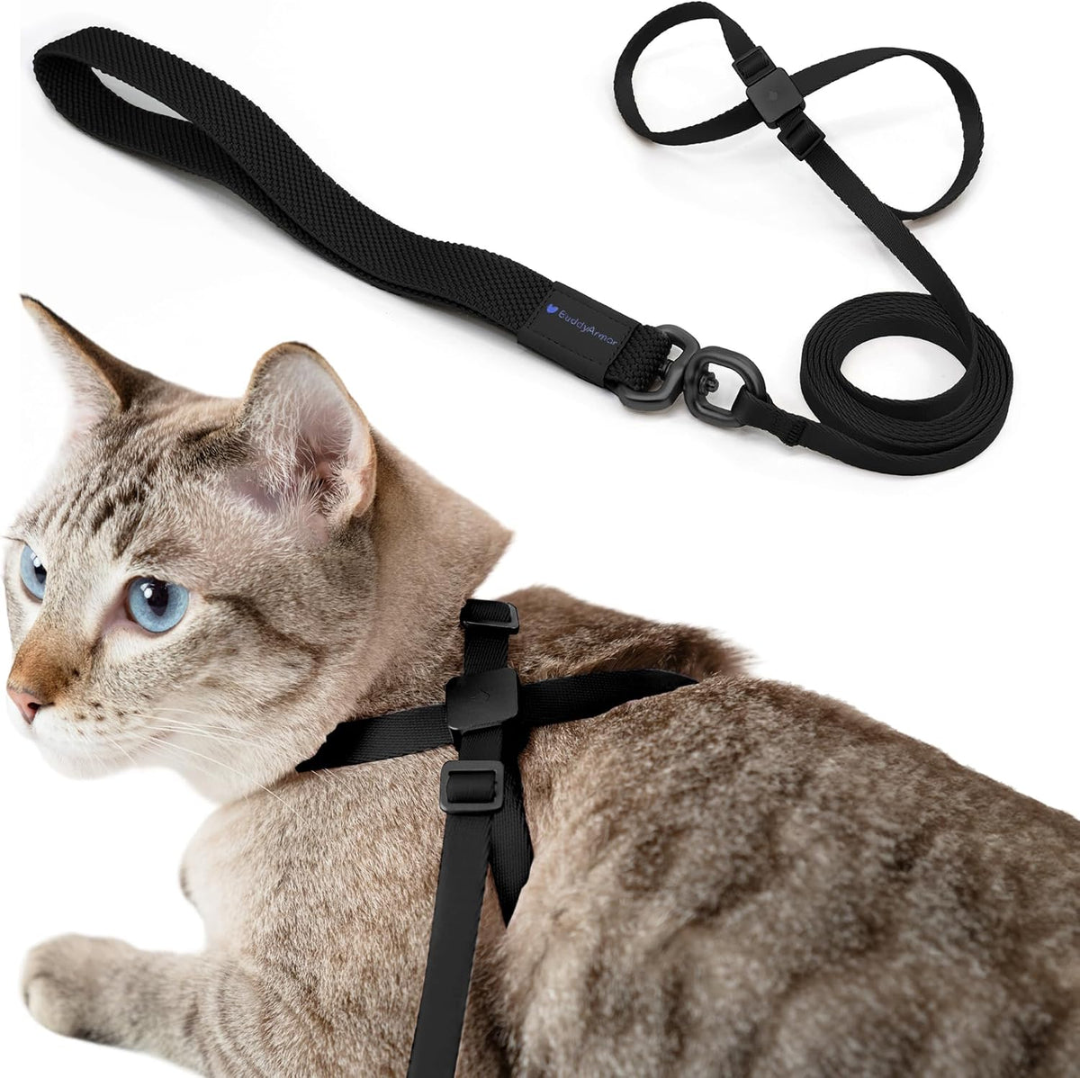 Cat Harness and Leash 2-in-1 - Midnight Black