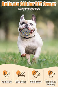 Dog Tennis Balls for Aggressive Chewers, Indestructible Durable Bouncy Interactive Toy for Dogs Fetch Game Lightweight Floating Outdoor Training(4Pcs Medium)