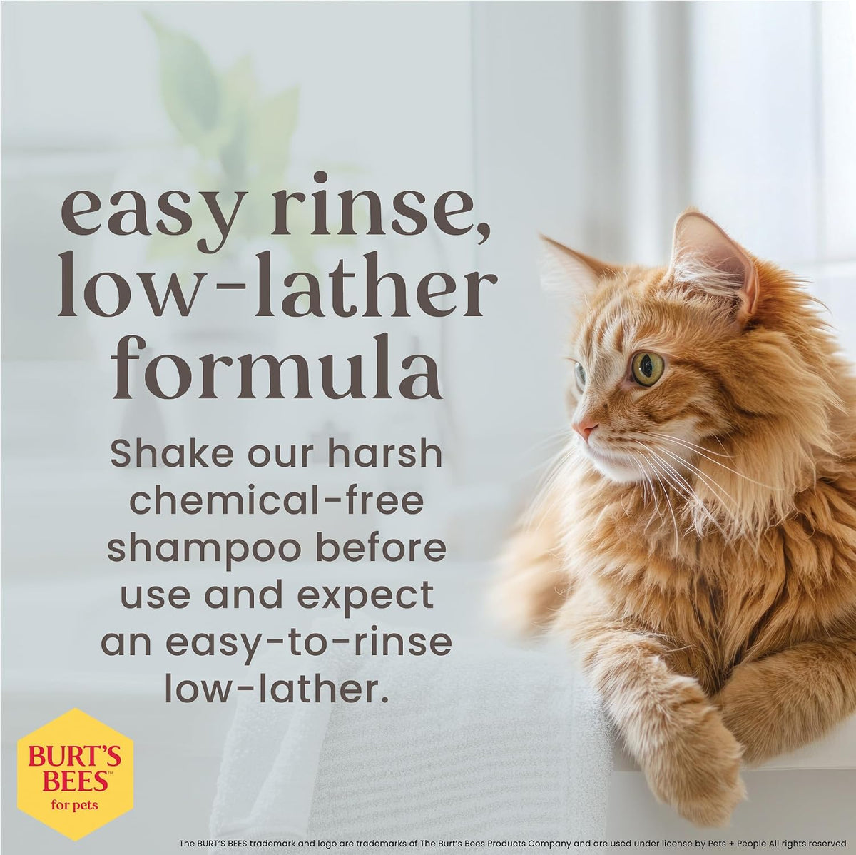 Burts Bees for Pets Hypoallergenic Cat Shampoo, Unscented - 10 Fl Oz (Pack of 2) - image 4
