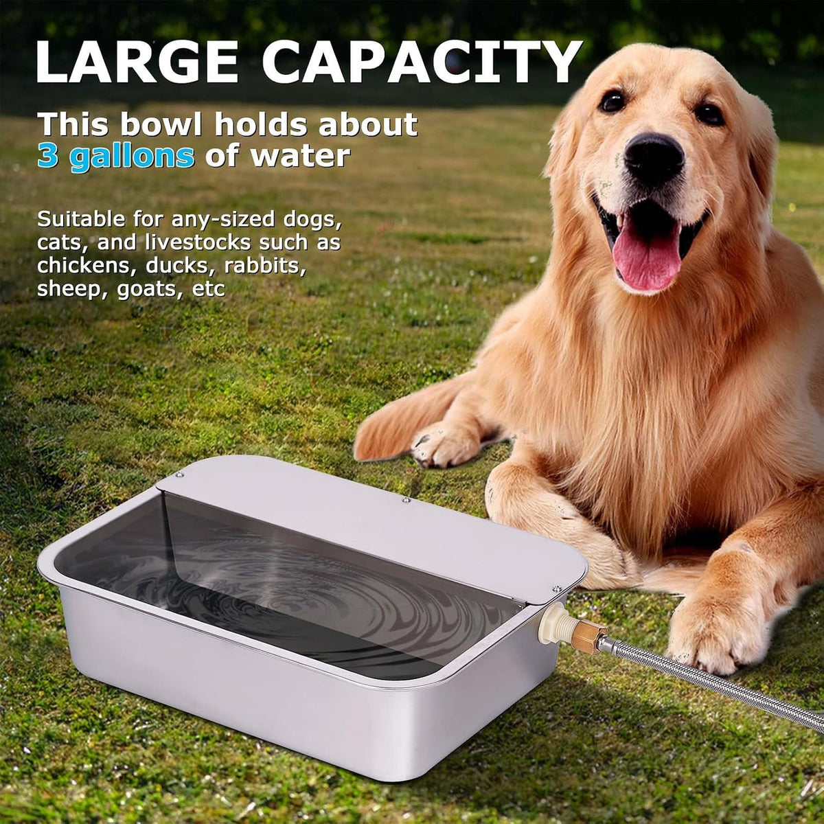 3 gallon automatic dog water bowl dispenser, stainless steel, outdoor - view 2