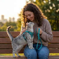 Cat Harness and Leash Set, Escape Proof Cat Vest, XL - Turquoise / Medium - image 4