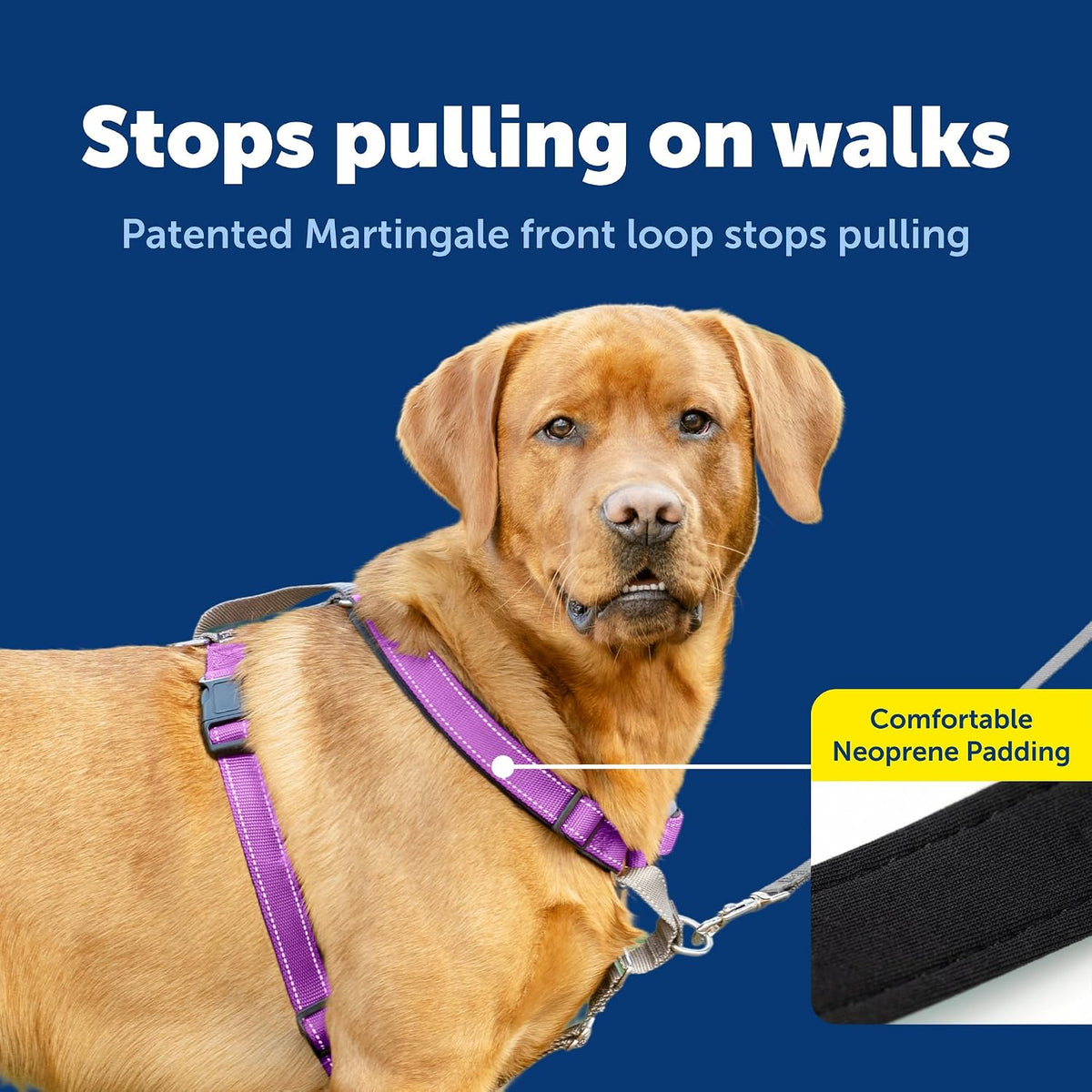 PetSafe 3 in 1 No-Pull Dog Harness, Walk, Train or Travel - Plum / Large (Pack of 1) - image 3